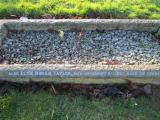 image of grave number 365011